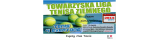 Tenis 4 EVERYONE - Towarzyska liga tenisa ziemnego logo